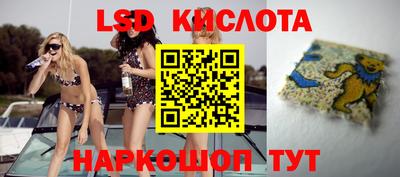 мдма Кингисепп