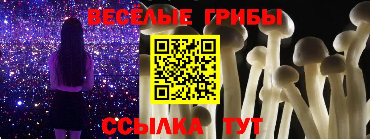 Фурманов  Галлюциногенные грибы прущие грибы  Псилоцибиновые грибы мицелий  цена наркотик  Вход с VPN 