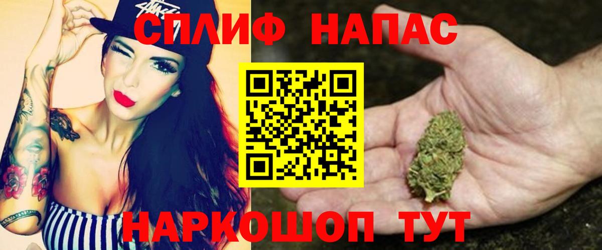 МАРИХУАНА конопля Фурманов